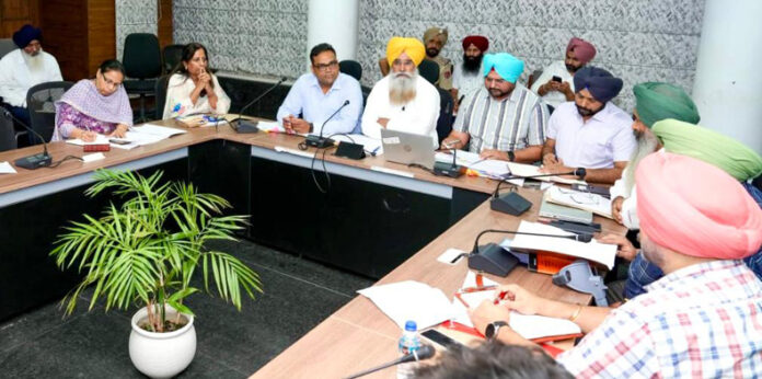 Punjab News : पंजाब में नरमे के रकबे में 20 प्रतिशत वृद्धि : खुड्डियां