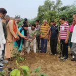 Bhiwani News : एक पौधा मां के नाम अभियान के तहत हनुमान जोहड़ी मंदिर में 78 पौधों का किया रोपण