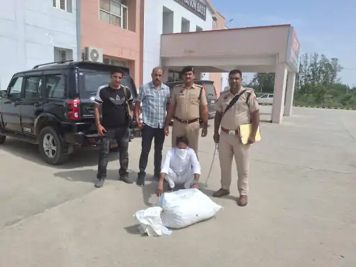 Hisar News: हिसार में 25 किलो गांजे सहित तस्कर गिरफ्तार