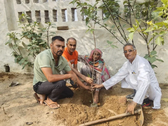 Beautification and tree plantation campaign by environment lover Shripal Yadav, planted 50 saplings