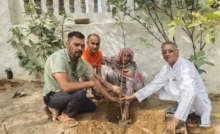 Beautification and tree plantation campaign by environment lover Shripal Yadav, planted 50 saplings