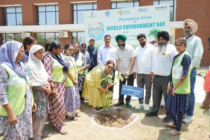 Chandigarh Municipal Corporation celebrates World Environment Day