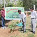 Gurugram News : विश्व पर्यावरण दिवस पर डीएलएसए ने लगाए 200 पौधे