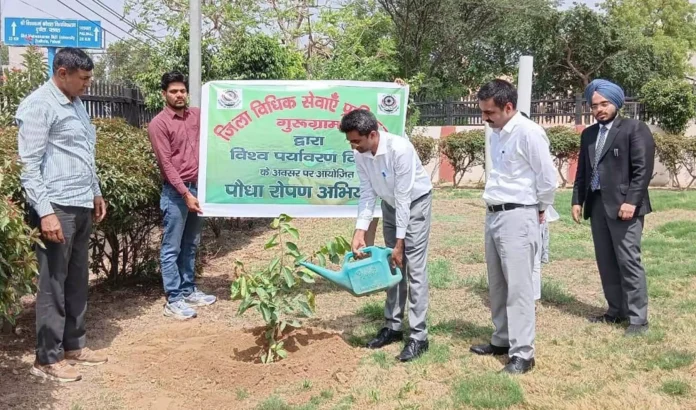 Gurugram News : विश्व पर्यावरण दिवस पर डीएलएसए ने लगाए 200 पौधे