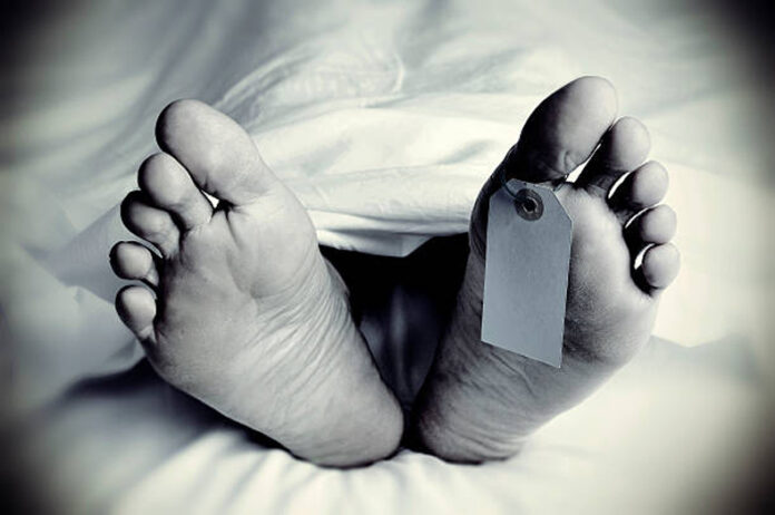 Rewari News: रेवाड़ी में सिलबट्टे से वार पड़ोसन की हत्या की, युवक ने खुद भी निगला जहर, मौत