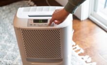 घर में नमी और उमस से हो गए हैं परेशान? Dehumidifier लाएगा ठंडक और चैन