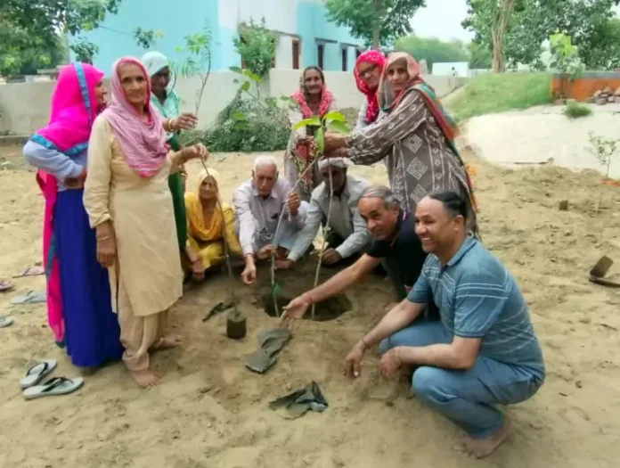 Ex-serviceman Shripal celebrated Father's Day by planting 40 saplings