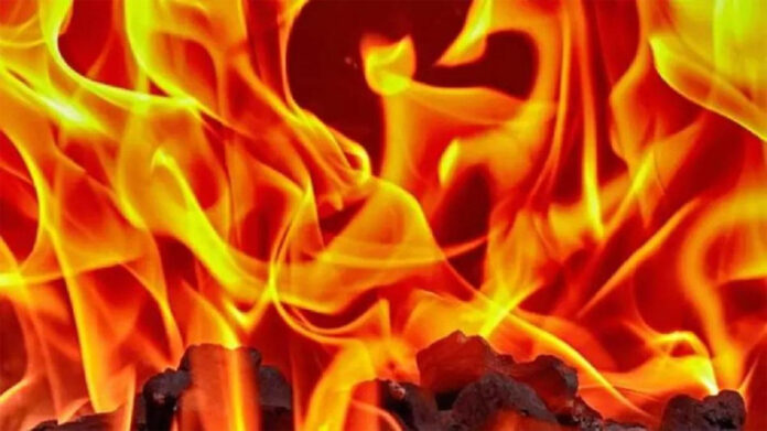 Jhajjar News: झज्जर में पीवीसी फैक्ट्री में लगी आग