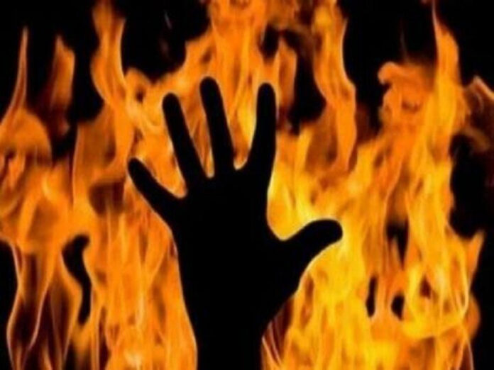 Haryana News: अमेरिका में कार और ट्रक की टक्कर, हरियाणा के दो युवक जिंदा जले