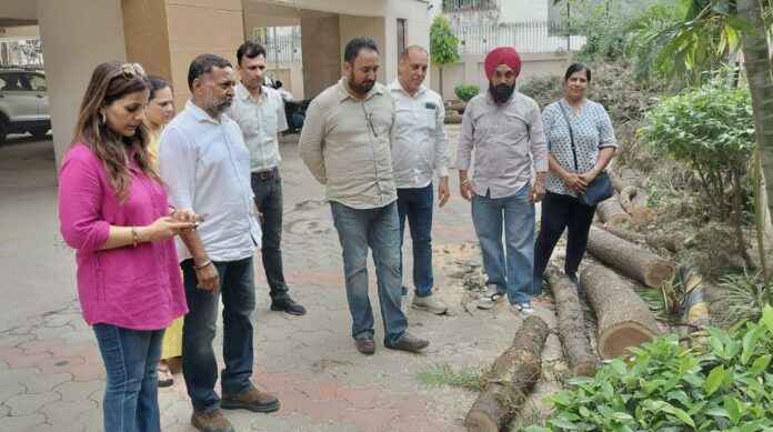Chandigarh News