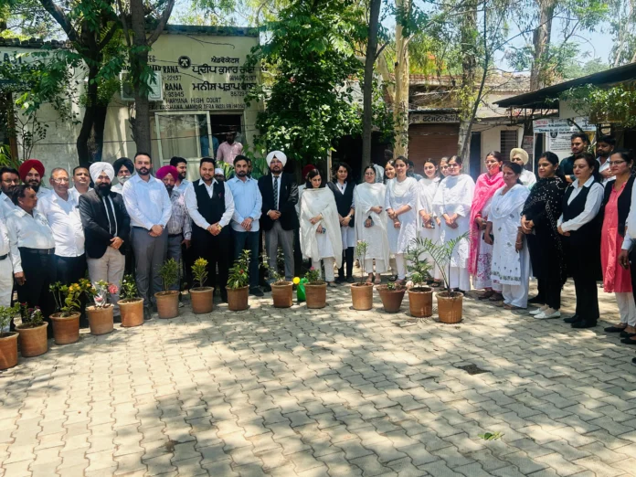 Judges along with Bar Association celebrated Environment Day by planting trees