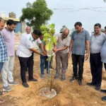 Bhiwani News : भिवानी की नंदीशाला को ऑक्सीवन के रूप में विकसित करेगा नंदीशाला सेवा दल