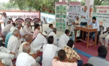 Bhiwani News : ग्वार में उखेड़ा बीमारी की रोकथाम मात्र 15 रूपए के बीज उपचार से संभव : डॉ. बी.डी. यादव