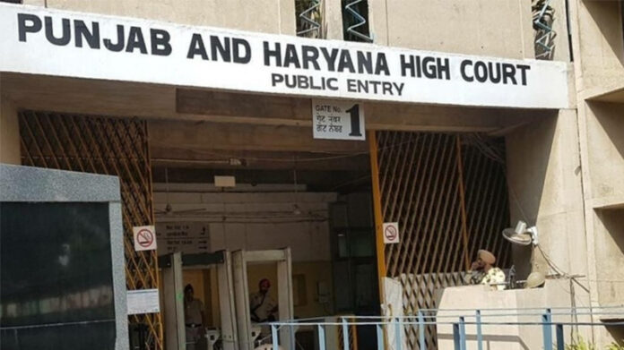 Punjab-Haryana High Court News: हरियाणा में सीईटी के नियमों के खिलाफ हाईकोर्ट में याचिका दायर