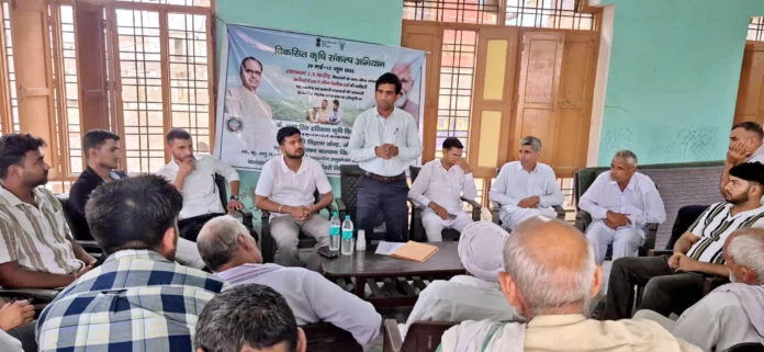 Jind News : कपास में गुलाबी सुंडी की निगरानी हेतु फैरामोन ट्रैप लगाने की सिफारिश