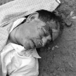 Jind News : जींद में लकड़ी व्यापारी की चचेरे भाई ने गोली मारकर की हत्या
