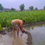 Jind News : बारिश ने भीष्ण गर्मी तथा उमस से दिलाई राहत