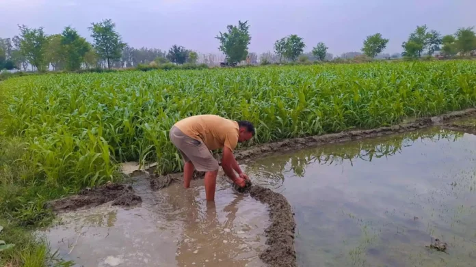 Jind News : बारिश ने भीष्ण गर्मी तथा उमस से दिलाई राहत