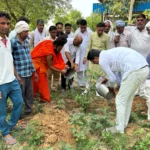 Trees are the basis of our life Mahadev Balali