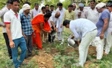 Trees are the basis of our life Mahadev Balali