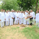 Trees are the beauty of the earth, love nature every moment Rajendra