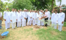 Trees are the beauty of the earth, love nature every moment Rajendra