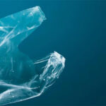 Water Soluble Plastic: जापान के वैज्ञानिकों ने विकसित किया समुद्र के पानी में घुलने वाला प्लास्टिक