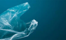 Water Soluble Plastic: जापान के वैज्ञानिकों ने विकसित किया समुद्र के पानी में घुलने वाला प्लास्टिक