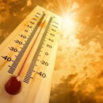 Haryana Weather Update: हरियाणा में सताने लगी गर्मी, 9 शहरों का तापमान 40 डिग्री पार, कल से चलेंगी लू