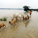 Assam