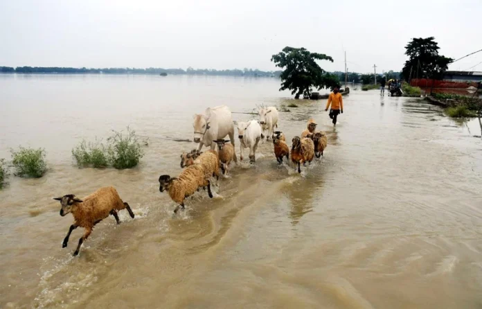 Assam