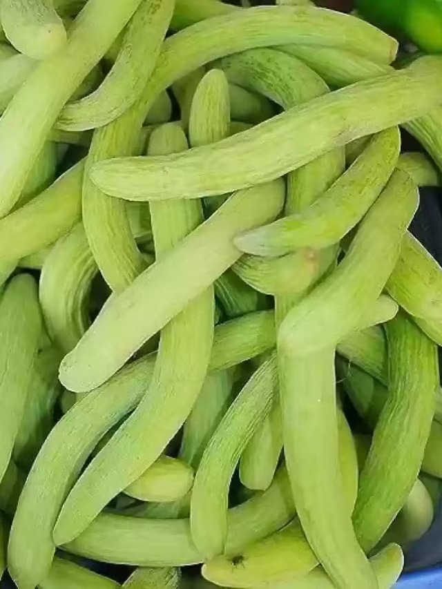 Benefits Of Kakdi: गर्मी में रोज खाएं ककड़ी पर काला नमक लगाकर, होंगे ये 5 कमाल के फायदे