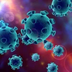 Coronavirus: