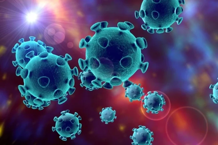 Coronavirus: