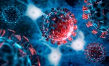 Coronavirus Updates