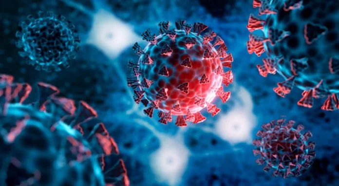 Coronavirus Updates