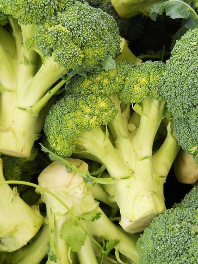 Benefits Of Broccoli: वजन घटाने से लेकर कैंसर से बचाव तक, इस हरी सब्जी में छिपा है हेल्थ का खजाना
