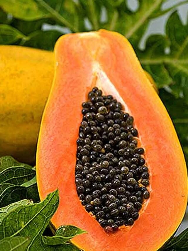 Papaya Seeds: पपीते के बीज फेंकने की गलती आप भी कर रहे हैं? जानें इसके जबरदस्त फायदे