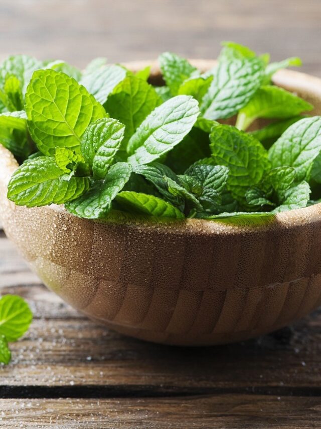 Health Tips: गर्मी में सेहत का सुपरहीरो है ये एक पत्ता!