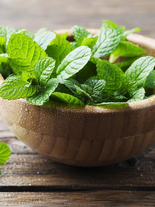 Mint Leaves: पेट की गर्मी से हो गए हैं परेशान? ये हरा पत्ता देगा मिनटों में राहत