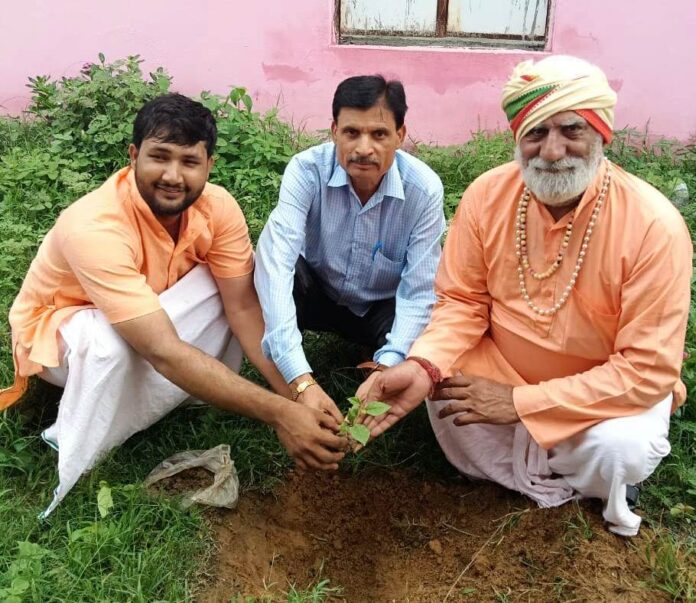 Plantation at Baba Ram Swarup Das Ashram
