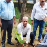 Protect the Environment by Planting Trees