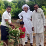Planted trees in Baba Chhotunath Temple