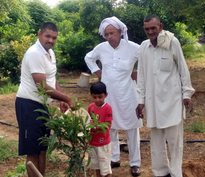Planted trees in Baba Chhotunath Temple