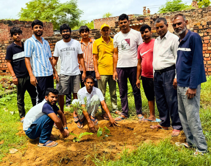 Dr. BR Ambedkar Charitable Trust Distributed Plants