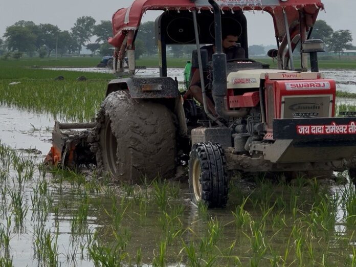 Tractor Driven in 15 Acres of Crop