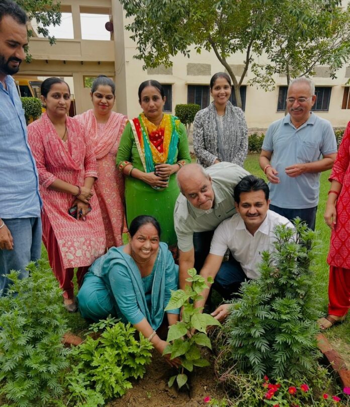 Tree Plantation Program Organized in College