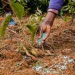 Action Against Fertilizer Sellers