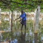Crisis Due to Rain and Waterlogging