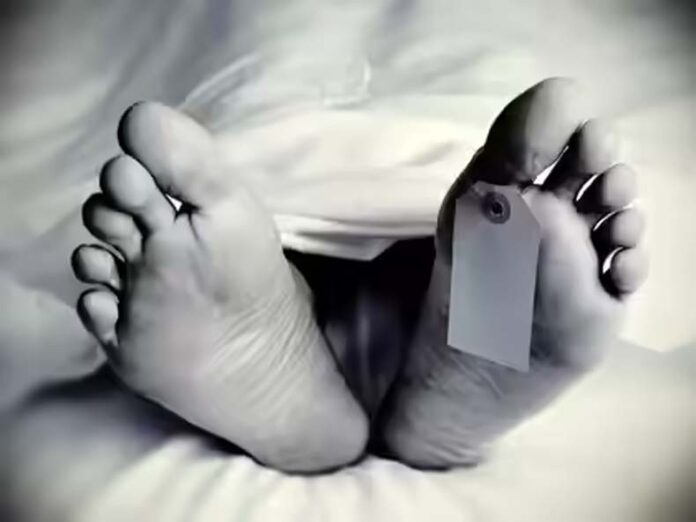 Hisar News: हिसार में धान लगाने आए बिहार के 2मजदूरों की मौत